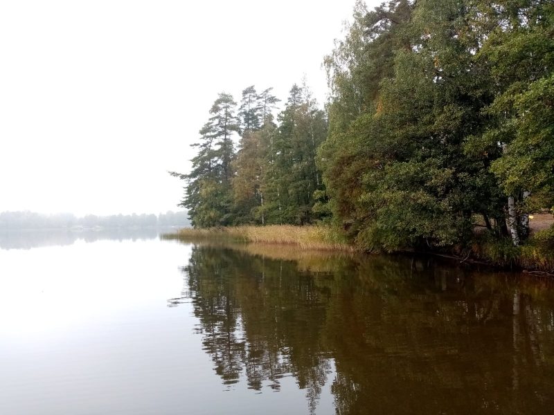Rusutjärvi