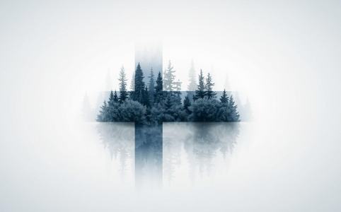 Finnish citizenship